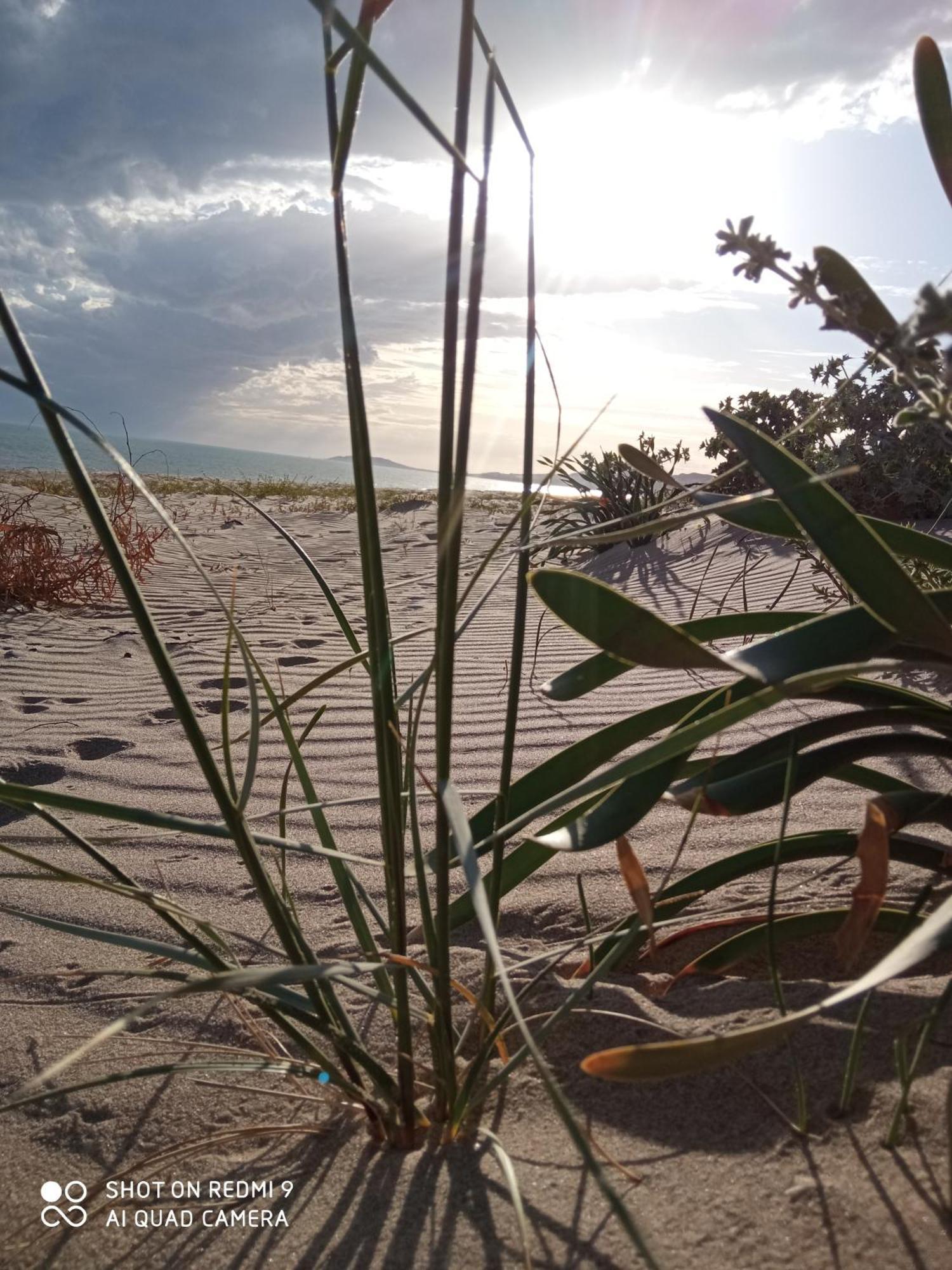 natura e relax sul mare Gela Esterno foto